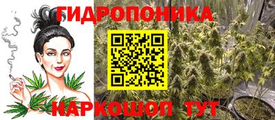 ECSTASY Нальчик