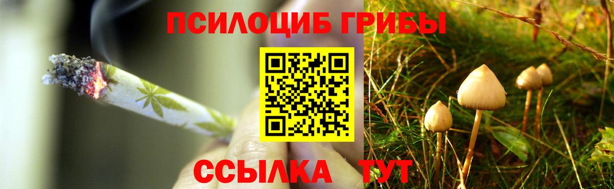 Галлюциногенные грибы MAGIC MUSHROOMS  Галлюциногенные грибы ЛСД  Вход с VPN  Геленджик 