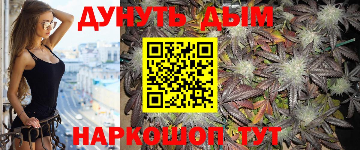 Канабис планчик  Бошки марихуана тримм  Вход с VPN  МАРИХУАНА тримм  Геленджик 